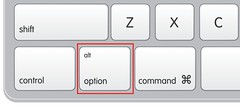 The Option key